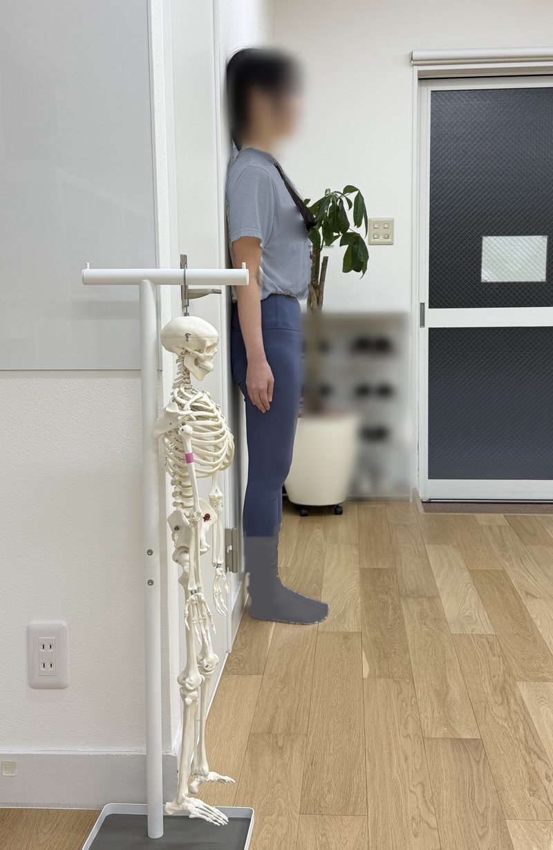 骨格模型を横に置いて壁に立ち、姿勢を確認する生徒様